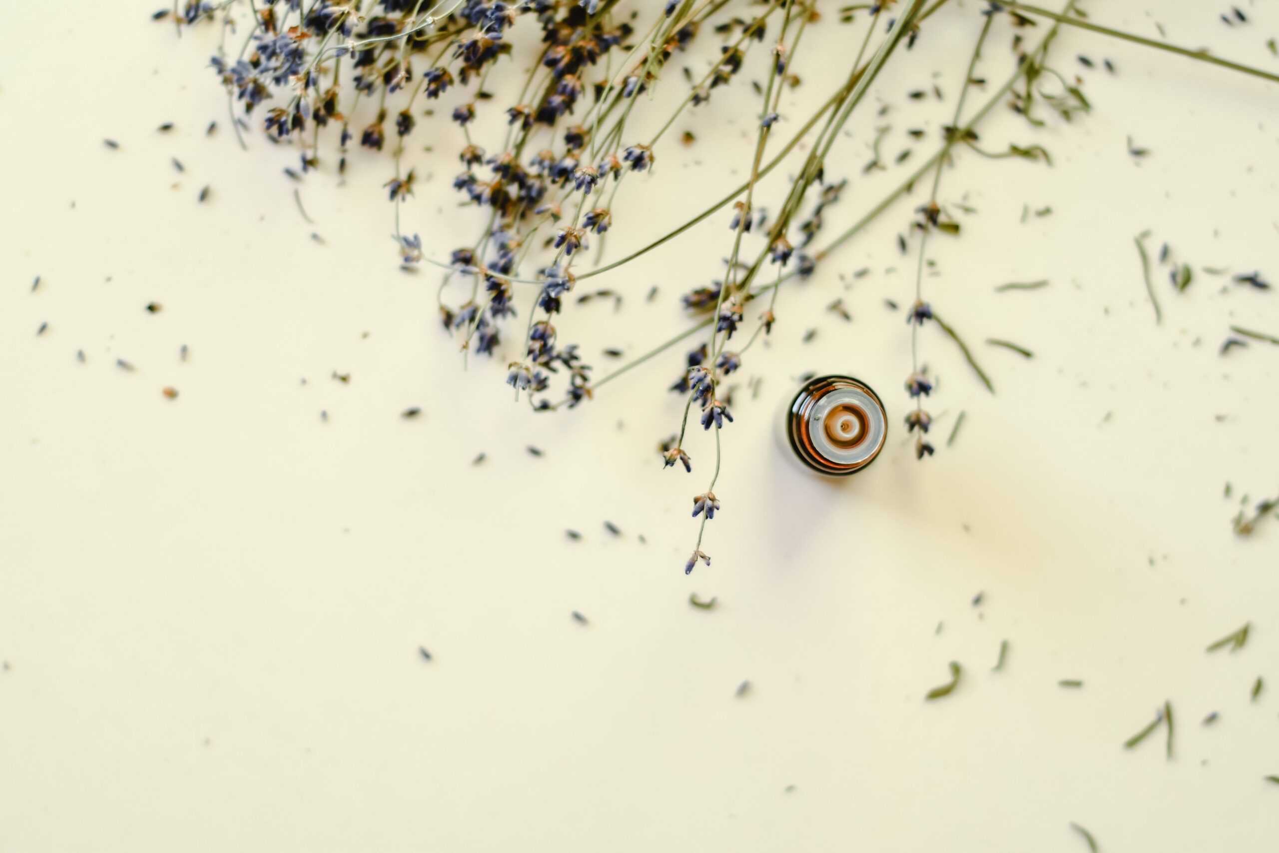 Frasco de óleo essencial com lavanda seca em composição editorial